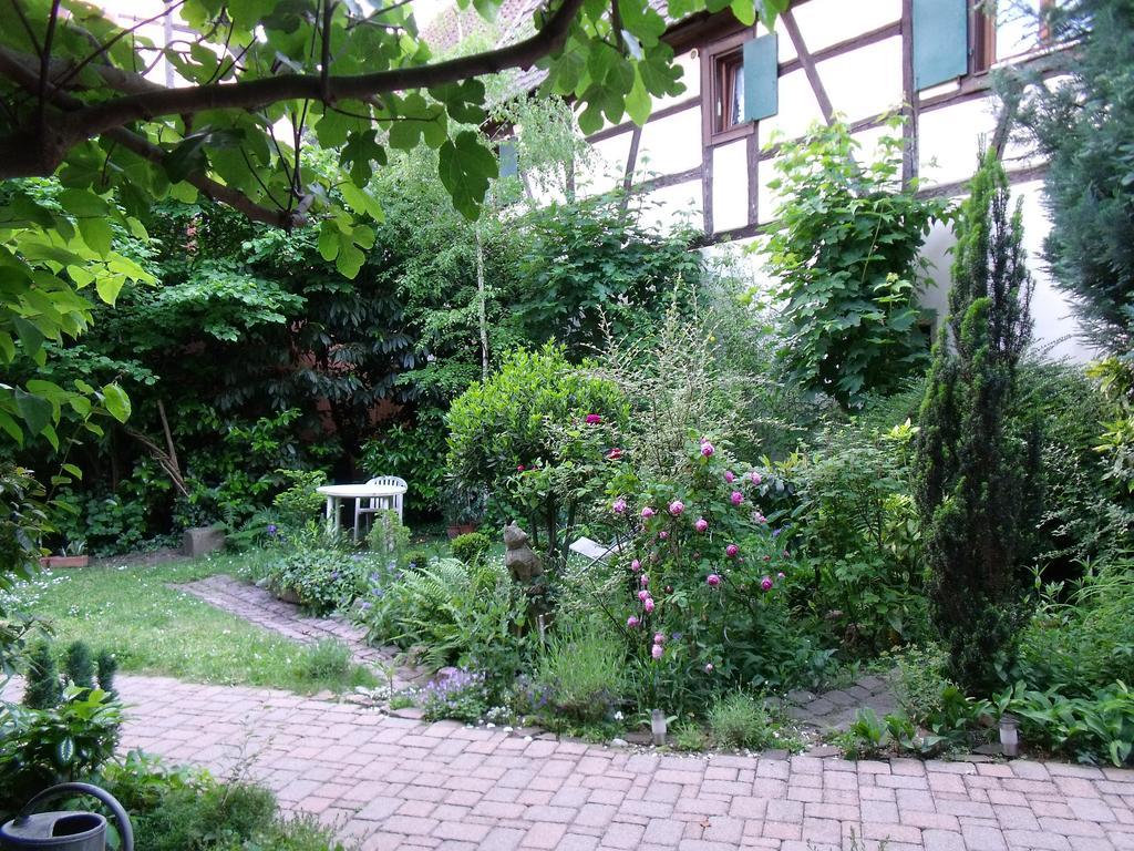 Studio La Grenouillere Туркхайм Стая снимка