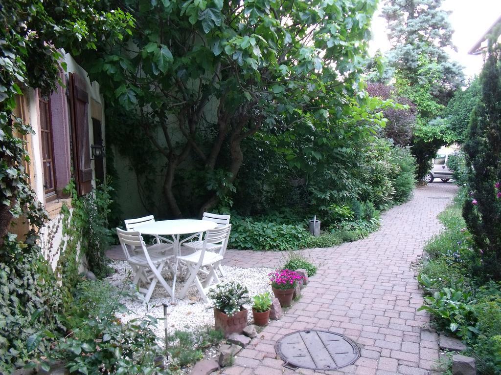 Studio La Grenouillere Туркхайм Стая снимка